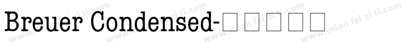 Breuer Condensed字体转换